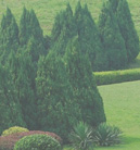 超强性能稳定的在线电话压力测试